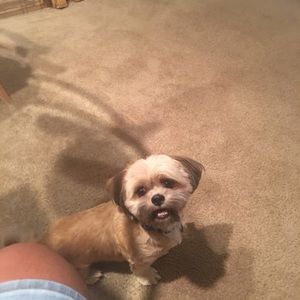 Meet your Posher, Liz